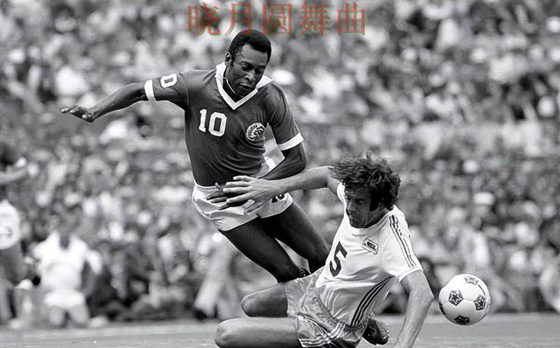 世界杯投注平台巴西比赛盘口变化怎么读